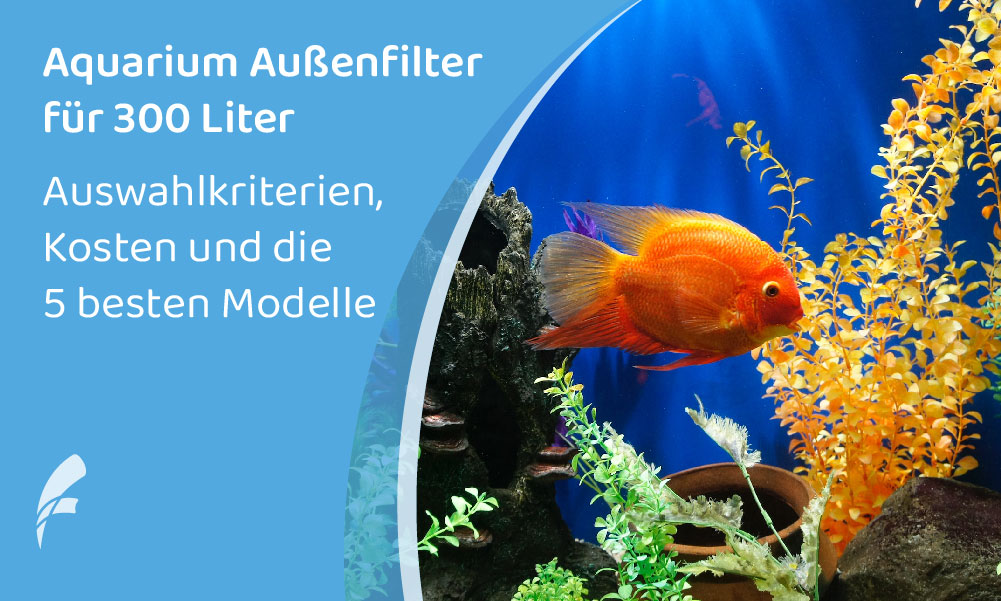 Außen­fil­ter Aquari­um 300 Liter: 5+ Produk­te im Vergleich