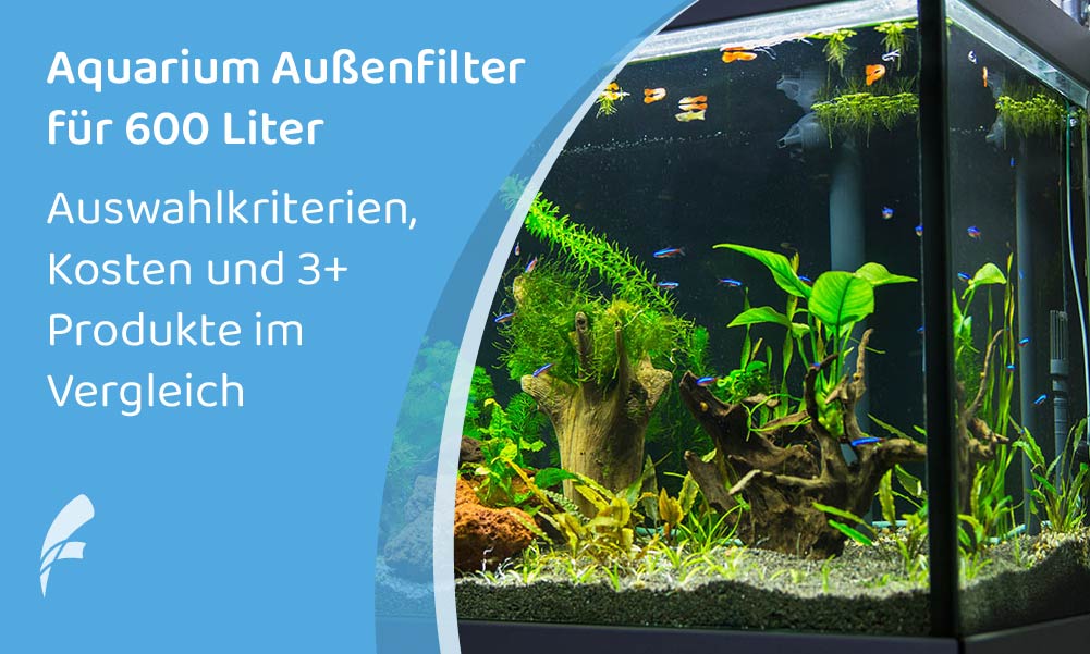 Außen­fil­ter für 600 Liter Aquari­um: Die 3+ besten Produk­te im Vergleich