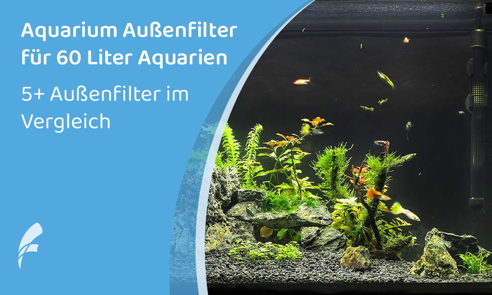 Außen­fil­ter Aquari­um 60L – Die 5+ besten Filter im Vergleich