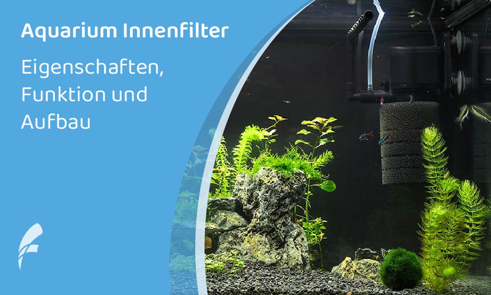 Aquari­um Innen­fil­ter – Klein aber leistungsstark
