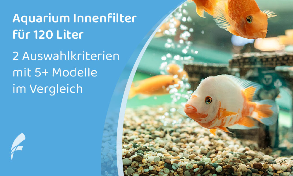 Aquari­um Innen­fil­ter (120 Liter): 5+ Möglich­kei­ten im Vergleich