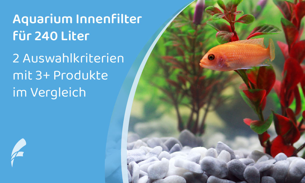 Aquari­um Innen­fil­ter (240 Liter): 3+ Produk­te im Vergleich