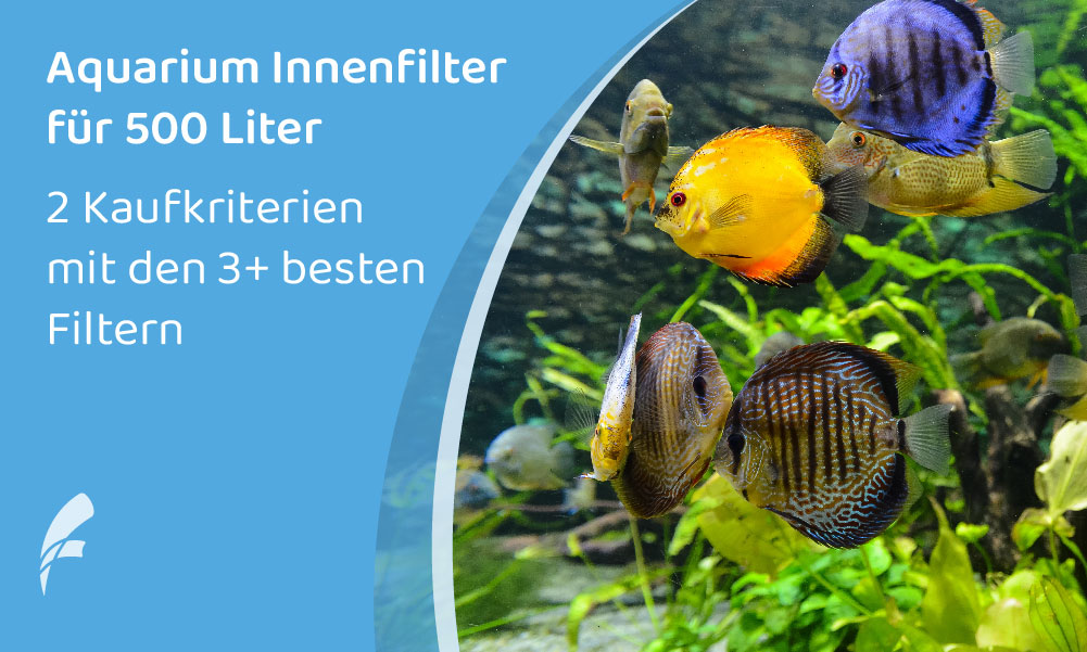 Aquari­um Innen­fil­ter (500 Liter): Die 3+ besten Filter im Fokus