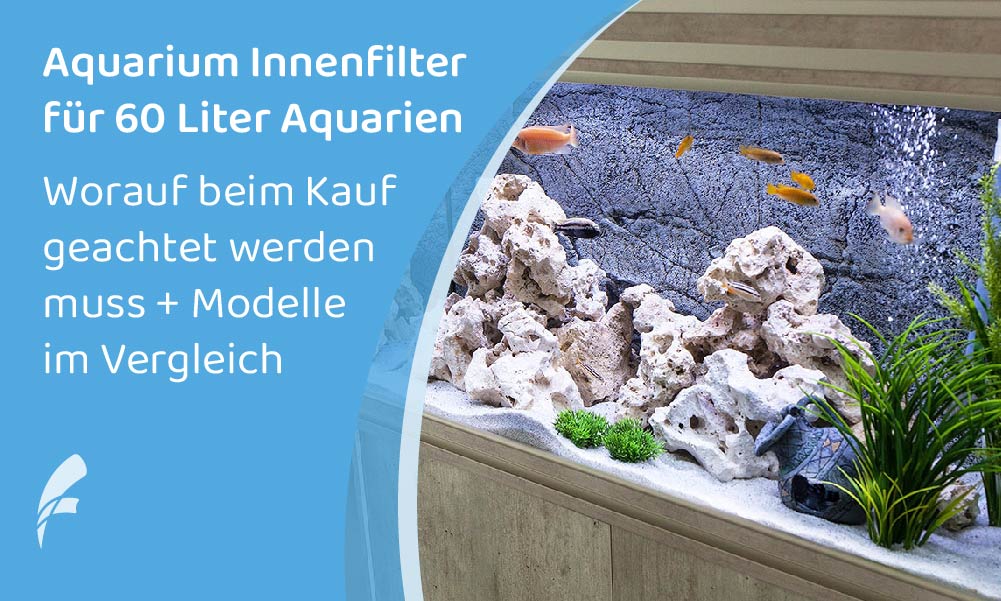 Aquari­um Innen­fil­ter (60 Liter): 7+ Model­le im Vergleich