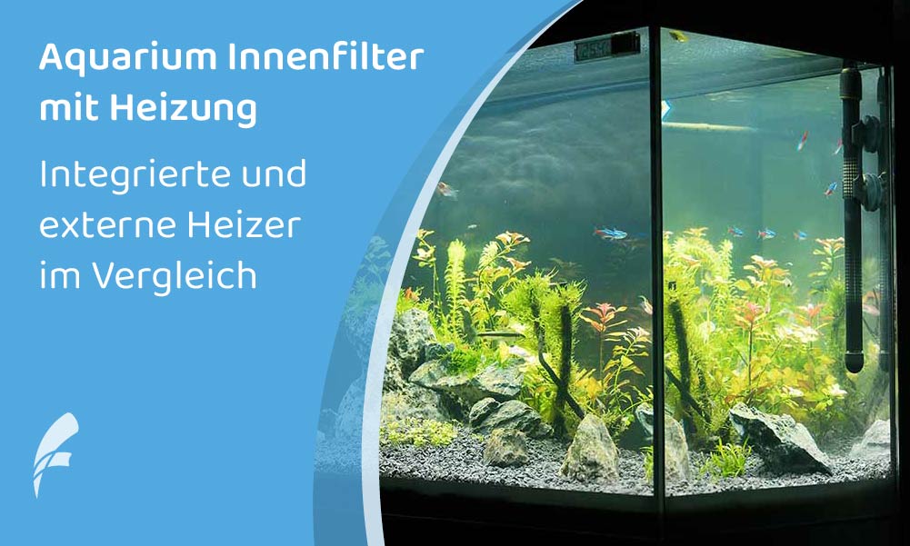 Aquari­um Innen­fil­ter mit Heizung: 3 Möglich­kei­ten im Vergleich (2024)