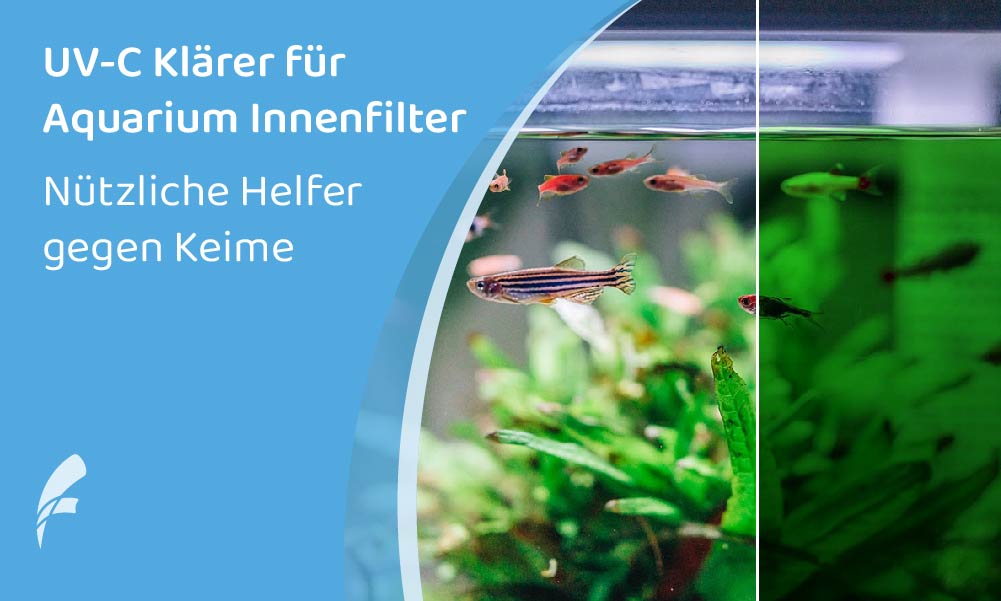 UV‑C Klärer für Aquari­um Innen­fil­ter: Nützli­che Helfer gegen Keime